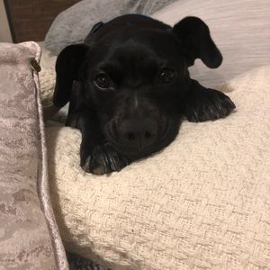 Meet your Posher, Kelsey